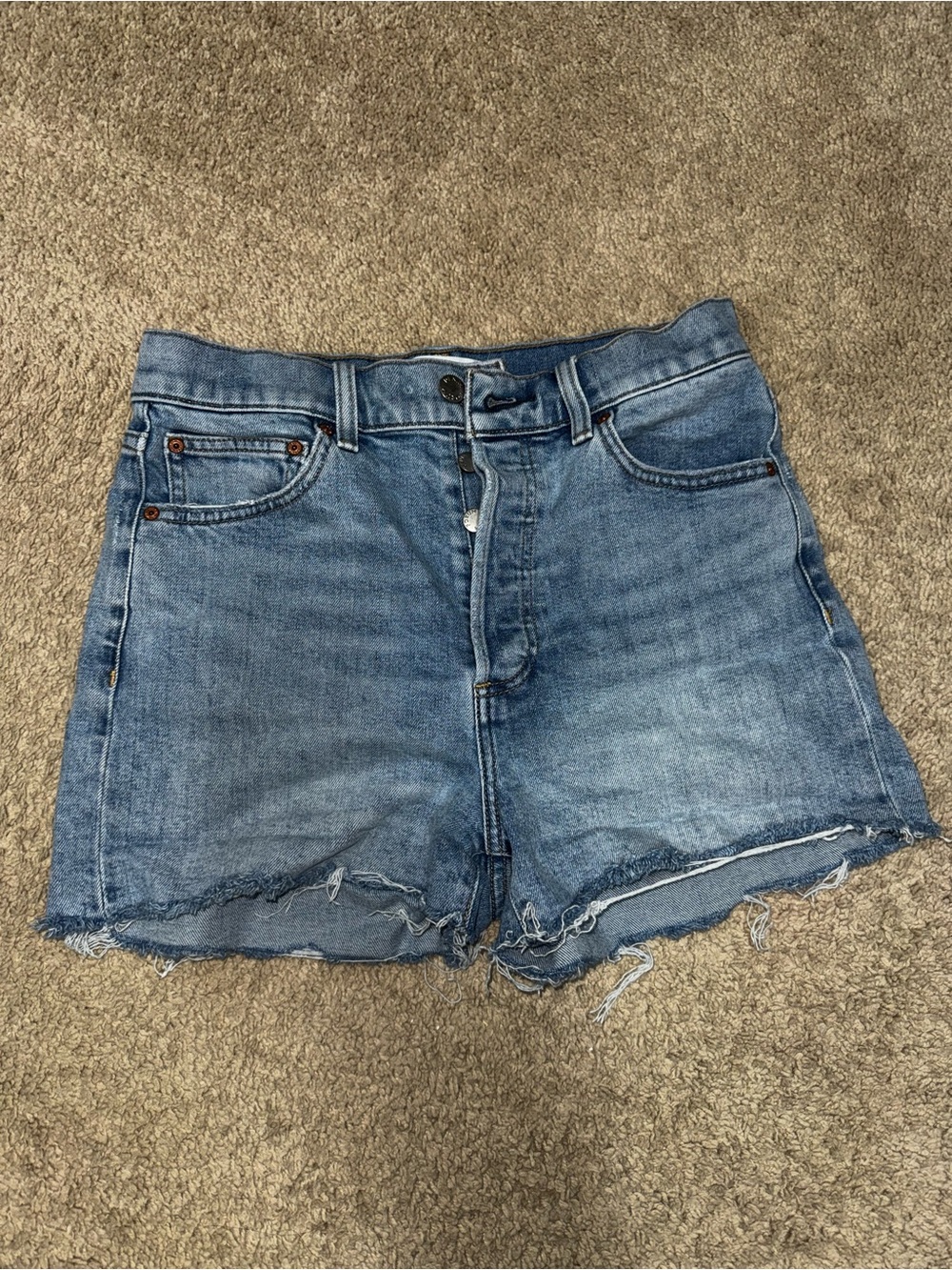 Aritzia Denim Forum 50s Arlo Hi-Rise Short